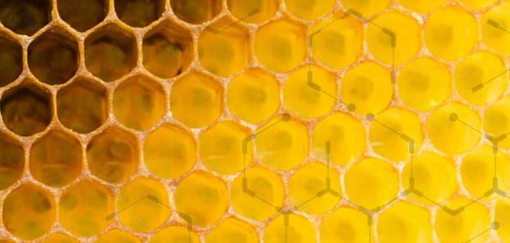 Примафлора