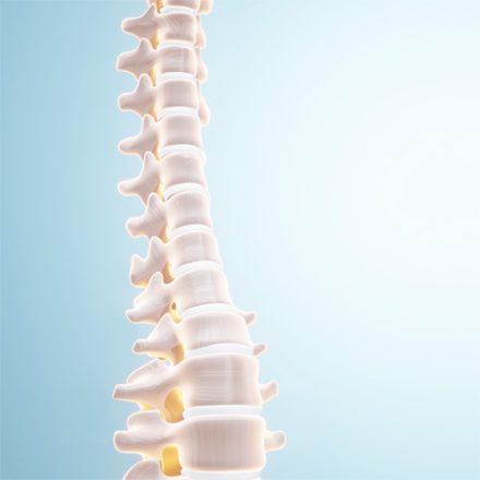У-Сін, Лютий – профілактика захворювань опорно-рухового апарату.