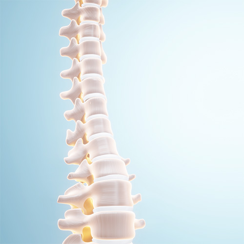 У-Сін, Лютий – профілактика захворювань опорно-рухового апарату.